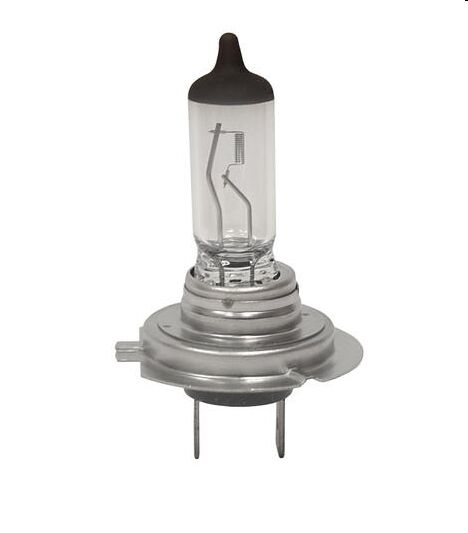 Starline H7 12V 55W PX26d