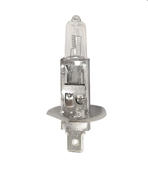 Starline H1 12V 100W P14.5s