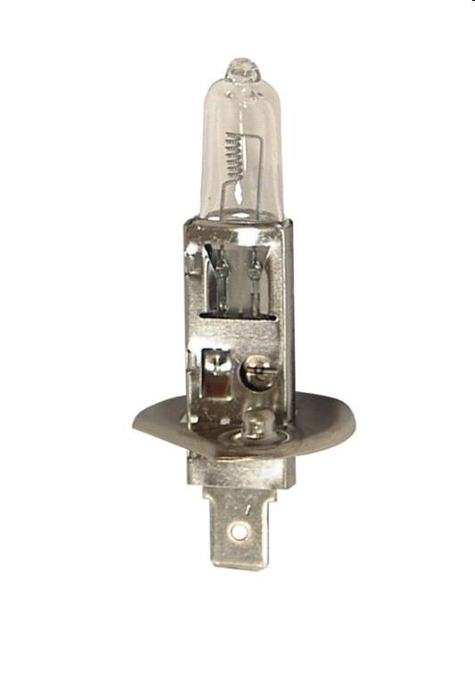 Starline H1 12V 55W P14.5s