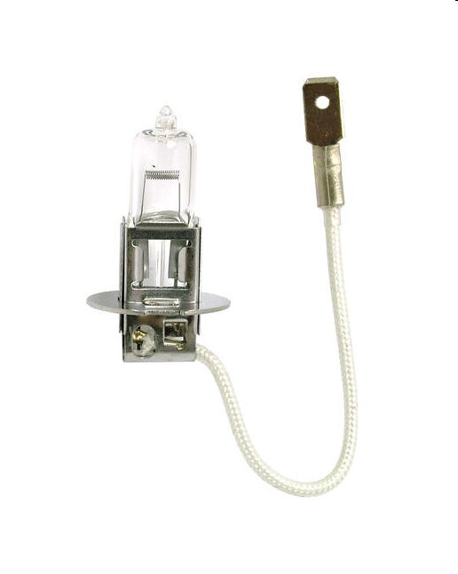 Starline H3 12V 100W PK22s