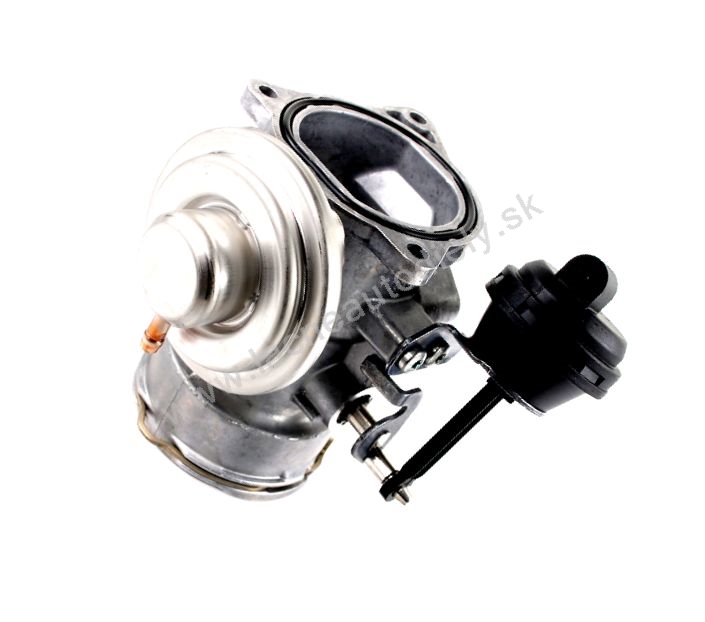 EGR ventil 1.9TDi
