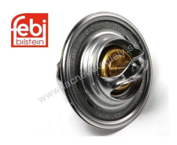 Termostat FEBI
